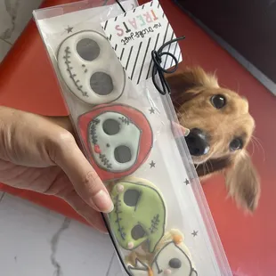 a dog looking at a package of halloween treats