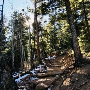 Trail