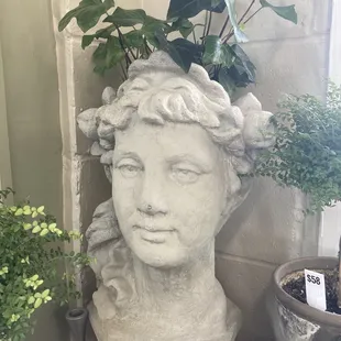 Cool planter
