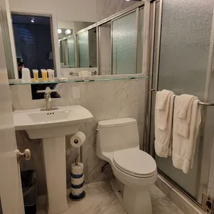 Newly Renovated Lodge Room bathrooms, walk-in shower, all tiled bathroom.