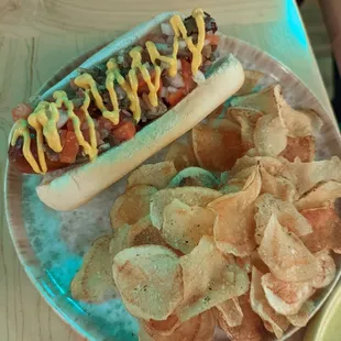 Chicago dog and chips