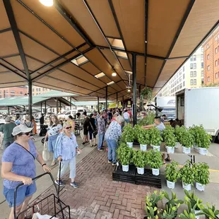 eople shopping for plants