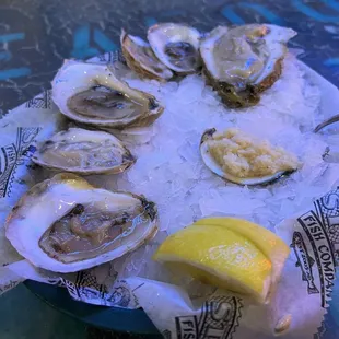 Raw Oysters