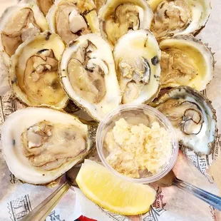 BLUE POINT OYSTERS