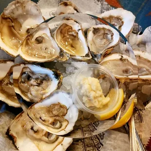 OYSTER HOUSE OYSTERS