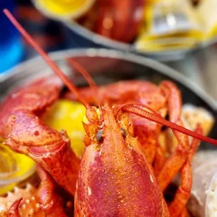 NEW ENGLAND STYLE SEAFOOD BOILS