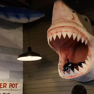 My, what sharp teeth! Very fitting wall decor in a seafood restaurant, plus the orca in its mouth is a nice touch