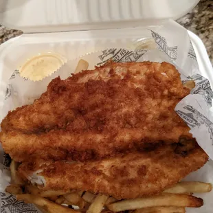 Walleye Fish
