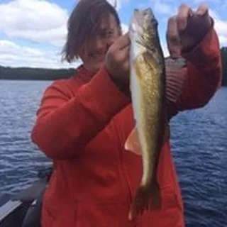 Ann H.