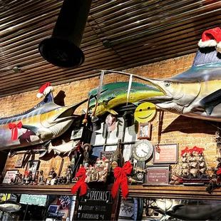 a marlin marlin marlin marlin marlin marlin marlin marlin marlin