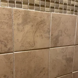 Hair on bathroom wall by prior guests. Meaning not cleaned properly