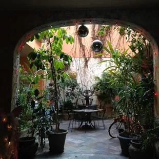 The courtyard was magical at night with all the holiday lights  wrapped around the columns, trees and antiques.