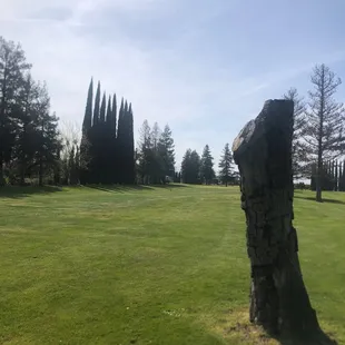 Hole 7/16 - April 2023