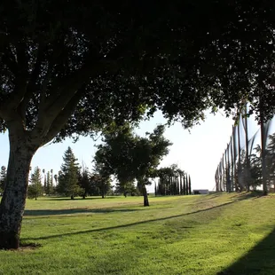 Hole #5