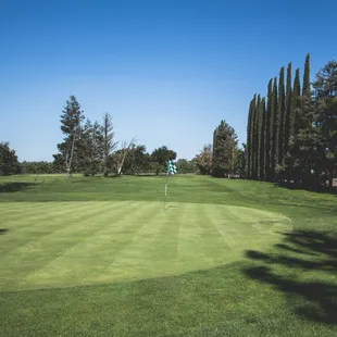 Hole #8