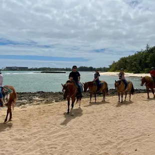 Horseback riding along Turtle Bay