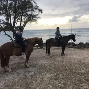 At the Point, Turtle Bay
