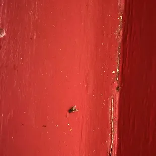 Dead fly and crud in the window