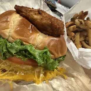 Turkey Burger and fries