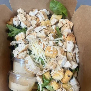 Chicken Cesar Salad