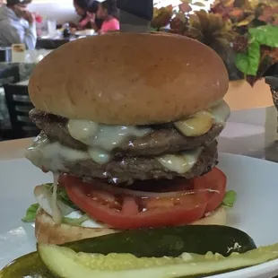 Double Swiss &amp; American Cheeseburger