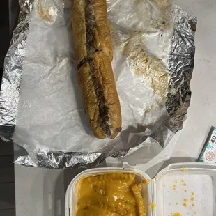 Cheesesteak and cheese fries