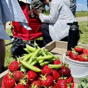 Strawberry &amp; Super Snap Peas