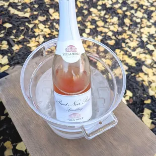a bottle of wine in an ice bucket