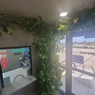 Mini atrium in the check in area