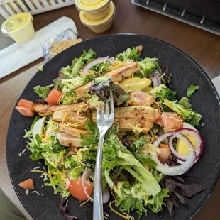 Grilled Chicken salad