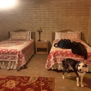 Love that they're pet friendly in certain rooms.