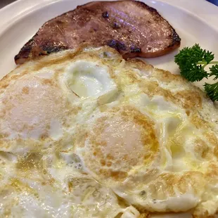 Two Egg Omelet