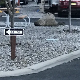 The rows are clearly marked so you can't get lost!