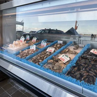a display of seafood