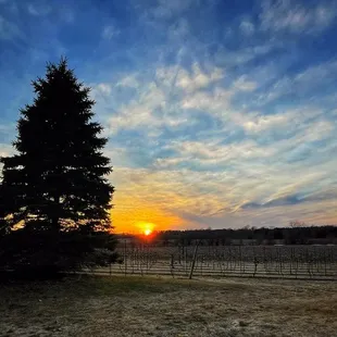 the setting of the sunset