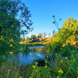 Stallion Springs Resort