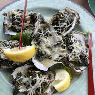 mussels, food, oysters and mussels, shellfish, oysters