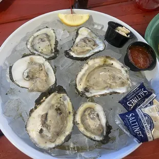 Oysters