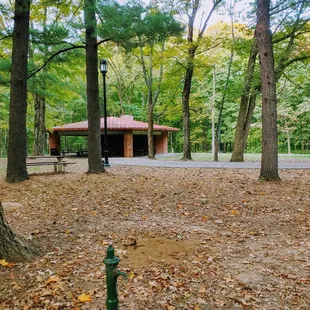 Picnic shelter