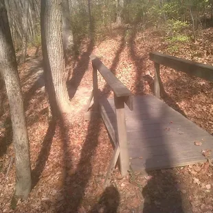 Easy single-track with some obstructions