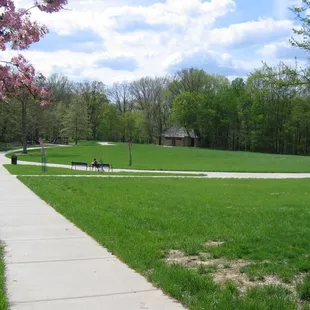 View from the front of the park