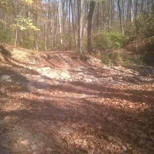 Driedout creekbeds abound!