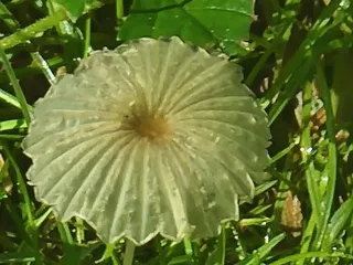 Little Miami Scenic Bike Trail