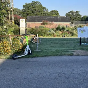 The community garden next door