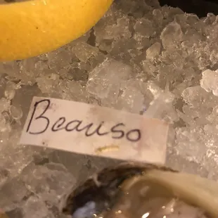 oysters, oysters and mussels, food, mussels, shellfish