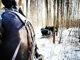 Ma and Pa's Gift Shack