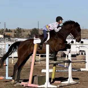 If you love jumping you&apos;ll love our main jumping ring with a full course that changes every few weeks
