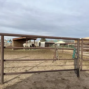 the group pen. Some shelters don&apos;t have sides so hay doesn&apos;t get wet but 4 large shelters do have side panels to be a weather block