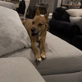 Phoebe H.