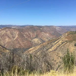 2016 = plagued by drought